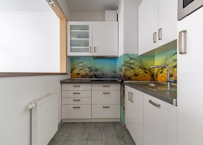 Gąsiorowskich 4 Friendly *